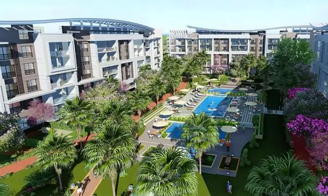 بورتو براميدز