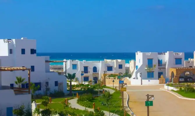 Bianchi Ilios North Coast