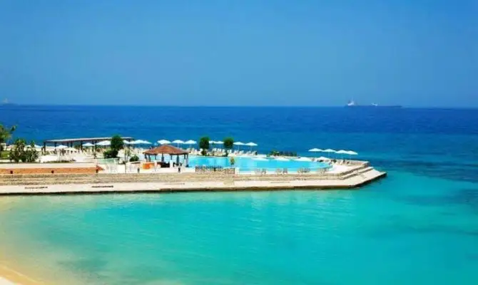June Sodic North Coast