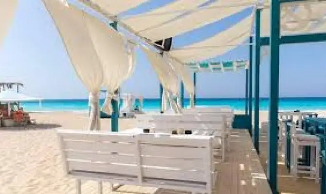 Bianchi Ilios North Coast